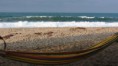 /album/galeria-de-fotos-fase-i-brasil-usa/a6-praia-los-angeles-colombia-jpg/